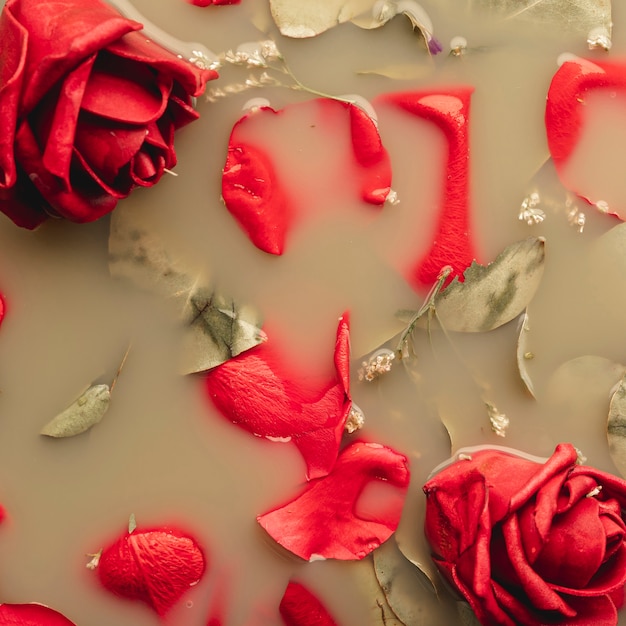 Free photo red roses and petals in brown colored water close-up