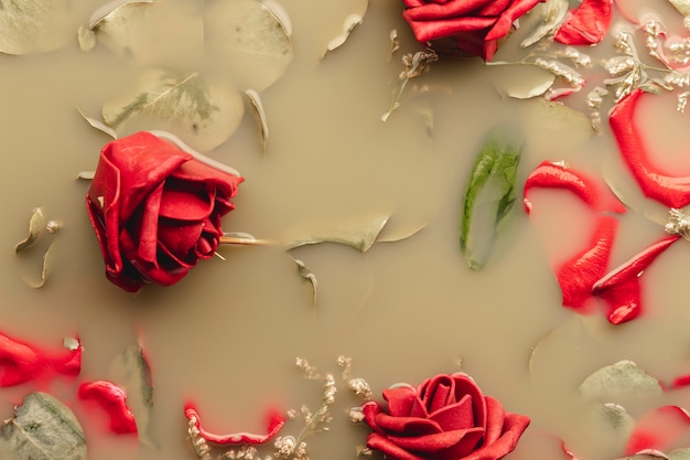 Free photo red roses and petals in brown water