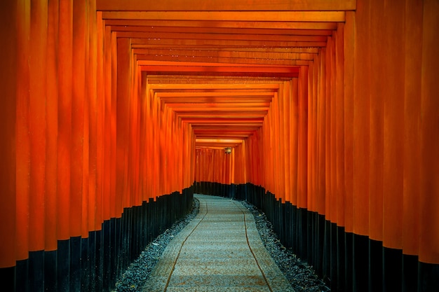 Free photo the red torii gates walkway at fushimi inari taisha shrine in kyoto, japan.