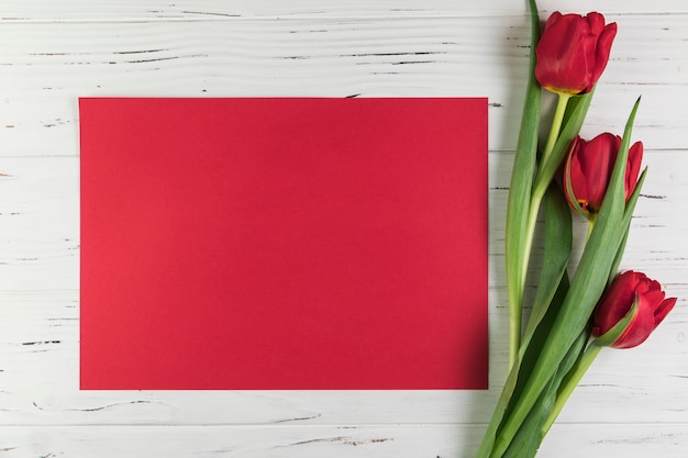 Red tulips and blank card paper on white wooden textured backdrop