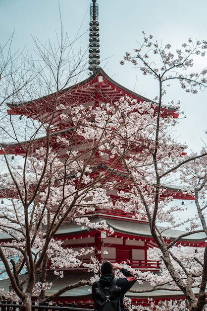 Red and white Japanese temple