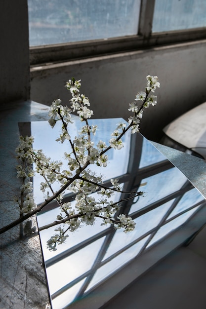 Free Photo reflection of flowers onto mirror surface