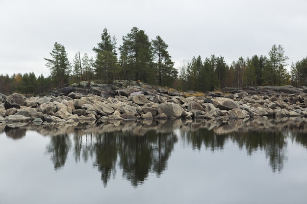 Free Photo reflection on the water of a lake