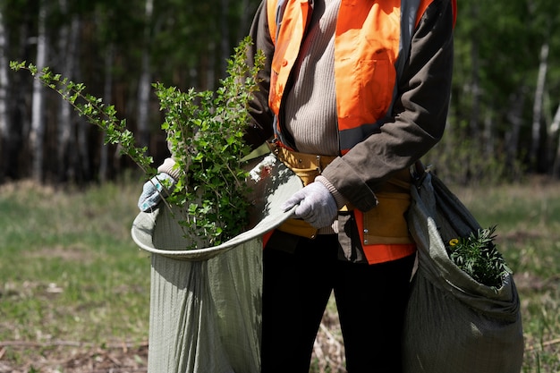 Reforestation done by voluntary group