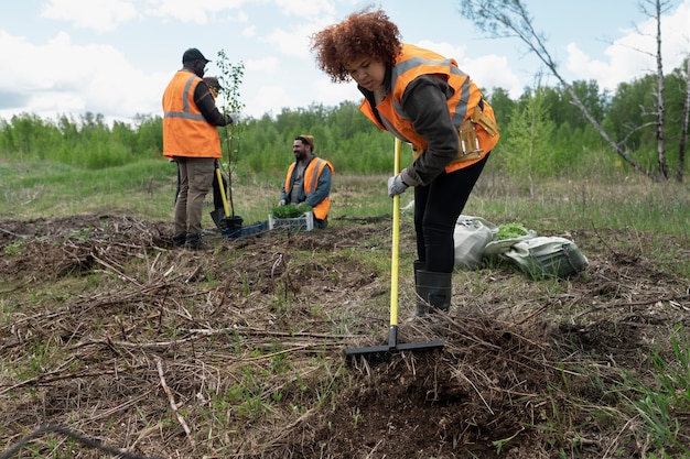 Free photo reforestation done by voluntary group