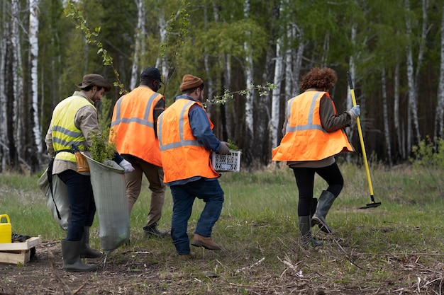 Free photo reforestation done by voluntary group