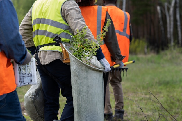 Reforestation done by voluntary group