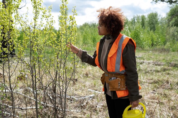 Reforestation done by voluntary group