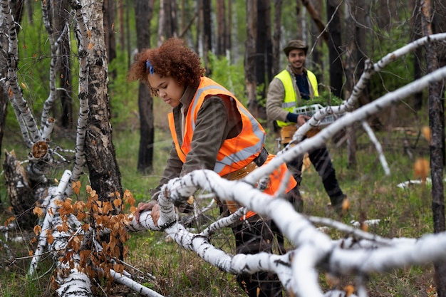 Free Photo reforestation done by voluntary group