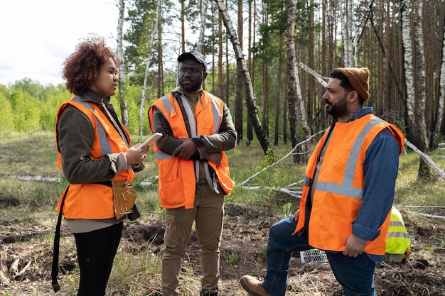 Reforestation done by voluntary group