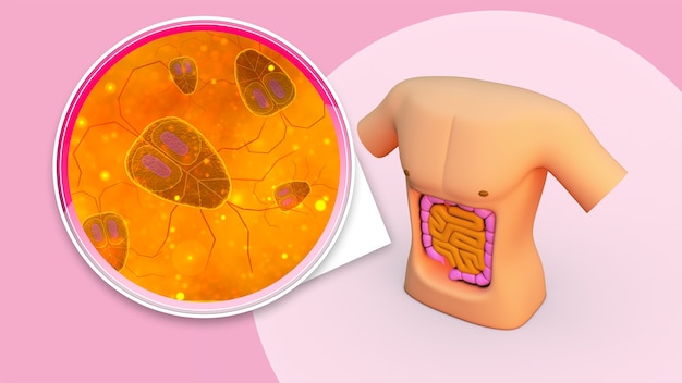 Free photo representation of microorganisms with body