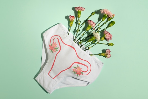 Free photo reproductive system on white underwear above view