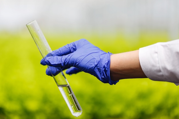 Free photo researcher holds a test tube with water in a hand in blue glove