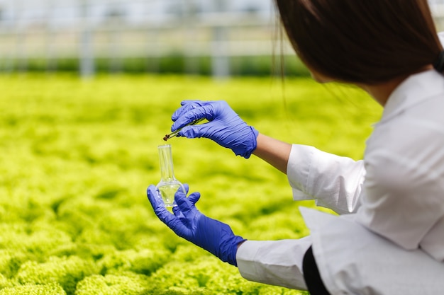 Free photo researcher takes a probe of greenery in a round-bottom flask