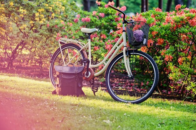 Retro bicycle in a park.