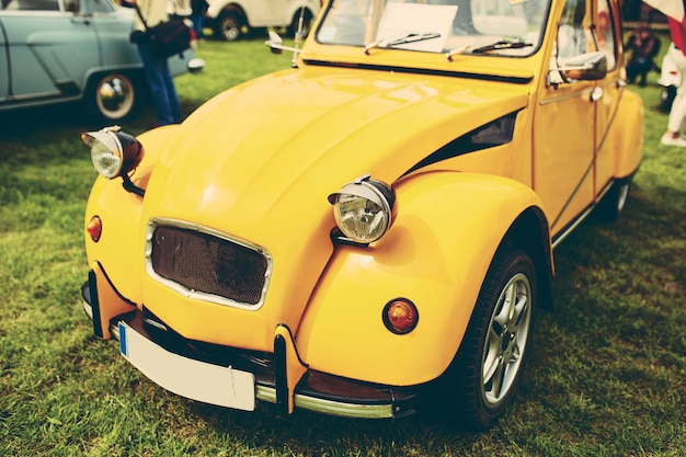 Retro car parked on grass