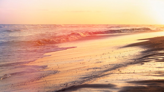 Retro nature landscape with beautiful sea