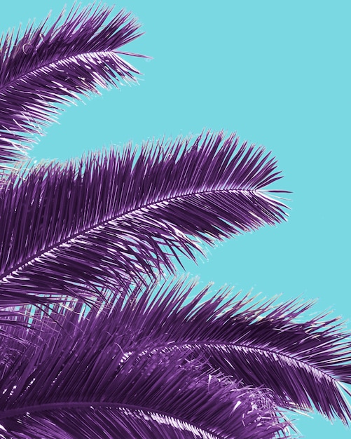 Free photo retro palm tree in vaporwave style