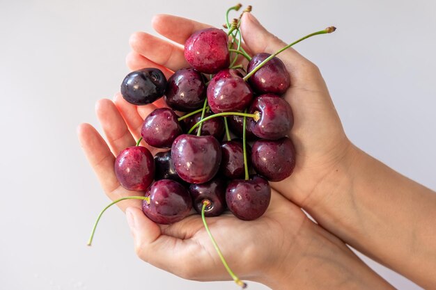 Ripe cherries in female hands on a blurred white background