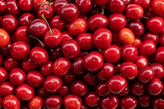 Ripe fresh cherries