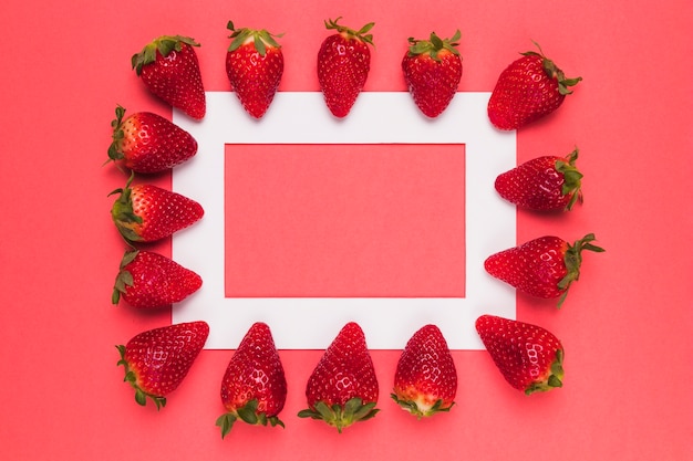 Free photo ripe juicy strawberries lined up on white frame on pink background