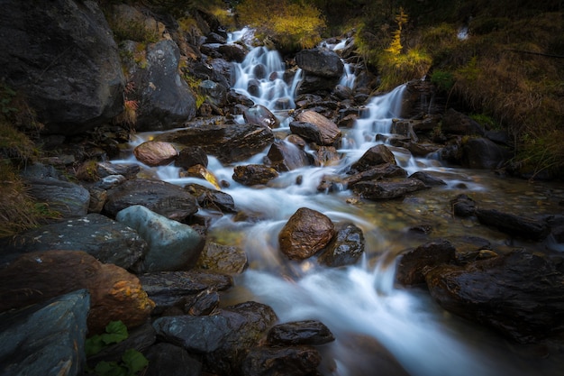 Free Photo river flowing on the stones surrounded by greenery under sunlight in a forest