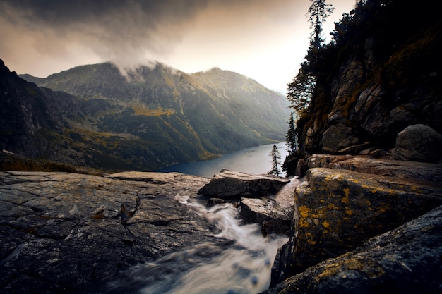 Free Photo river in foggy mountains landscape.