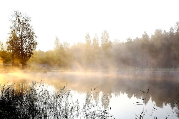 Free photo river on nature landscape