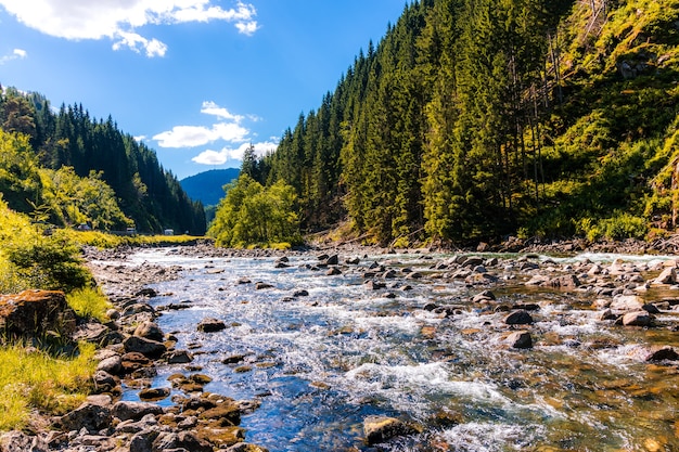 River near a forest in Norway