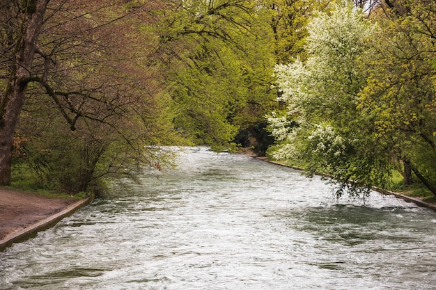 Free Photo river running through park