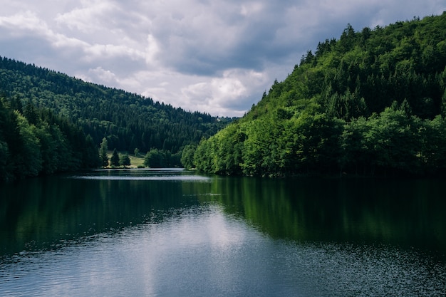 River surrounded by forests under a cloudy sky in Thuringia in Germany - great for natural concepts