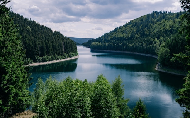 Free photo river surrounded by forests under a cloudy sky in thuringia in germany