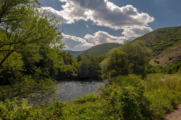 River surrounded by hills covered in greenery under the sunlight and a blue sky