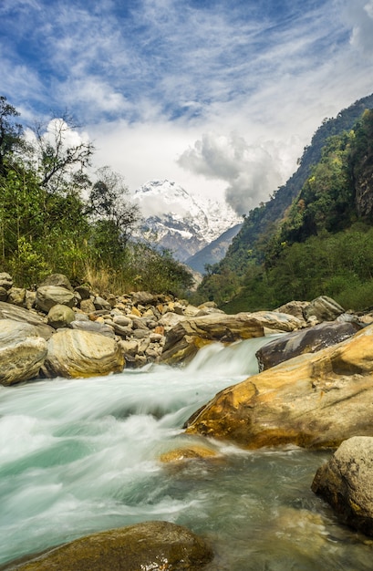 Free photo river surrounded by rocks covered in greenery and the snow under a cloudy sky