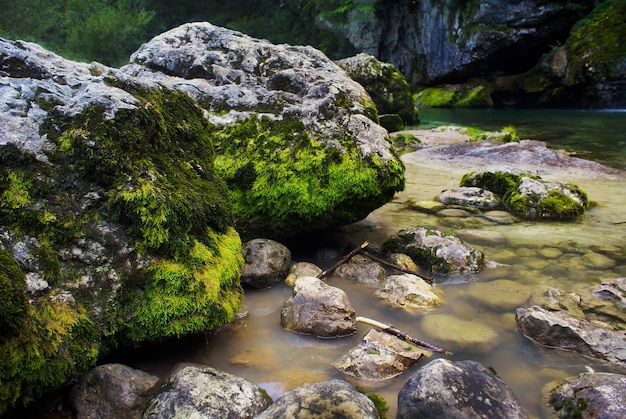 Free photo river surrounded by rocks covered in mosses under the sunlight in bovec in slovenia