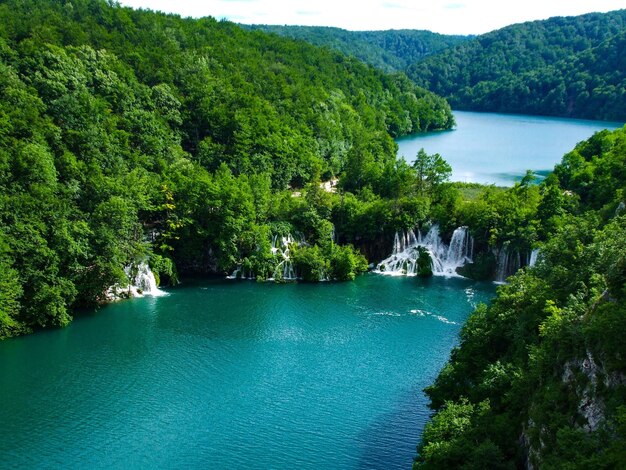 River and trees in Plitvice Lakes National Park in Croatia