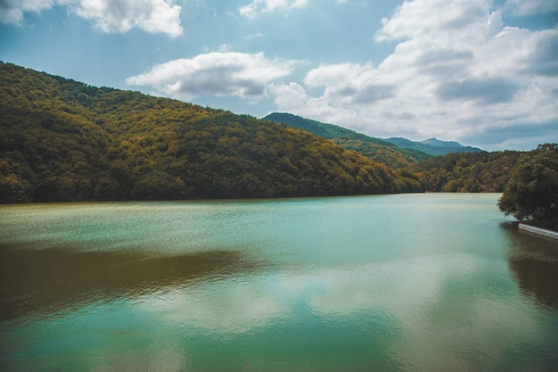 River with a forest