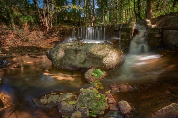 Free photo river with long exposure surrounded by rocks and greenery in a forest under the sunlight