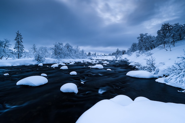 Free Photo river with snow in it and a forest near covered with snow in winter in sweden