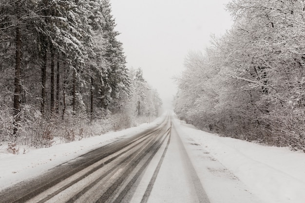 Road in forest in winter