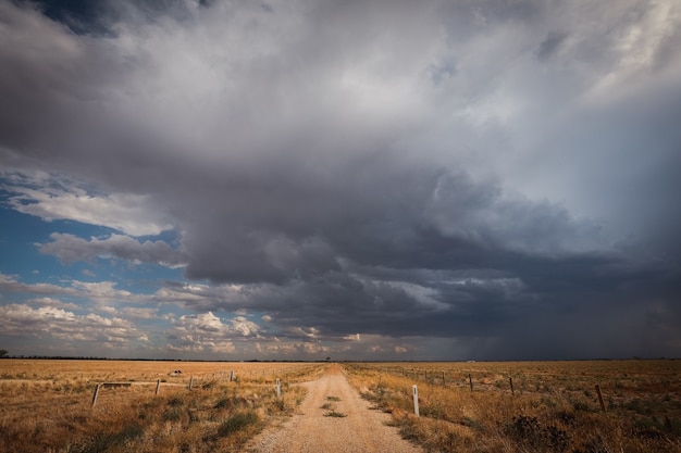 Road surrounded by a field covered in greenery under a dark cloudy sky