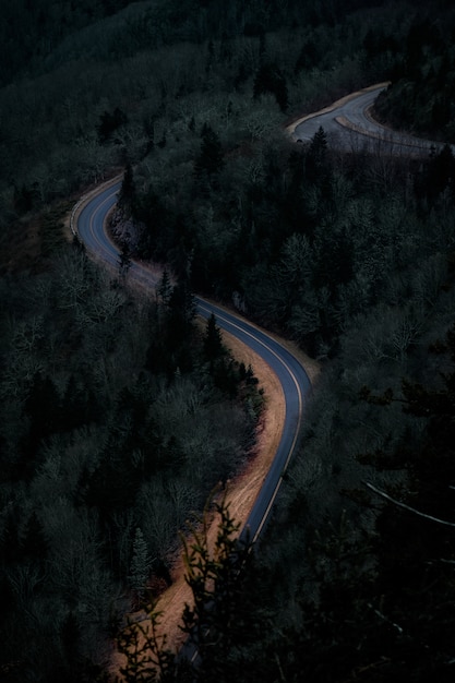 Free Photo road surrounded by a green scenery