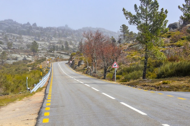 Road surrounded by rocks and greenery covered in the fog at daytime