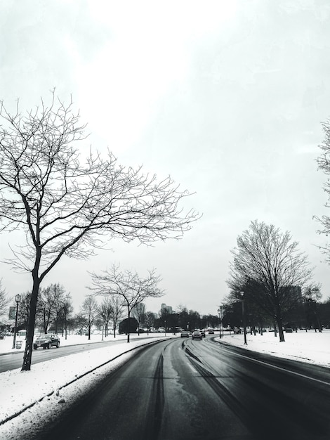 Road surrounded by trees and cars covered in the snow with buildings