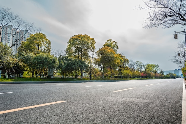 Road and vegetation in a cloudy day 