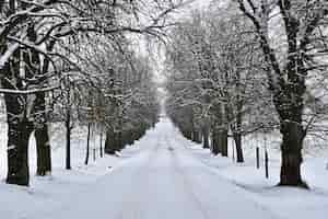 Free photo road in winter snowy mountain path for a car concept for traveling and safe driving in winter by car