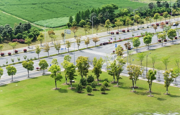 Road with trees around