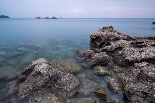 rock on coast sea