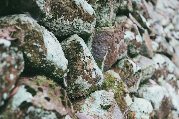 Free Photo rock decorative wall background