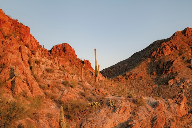 Free photo rock mountains with desert background nature landscape